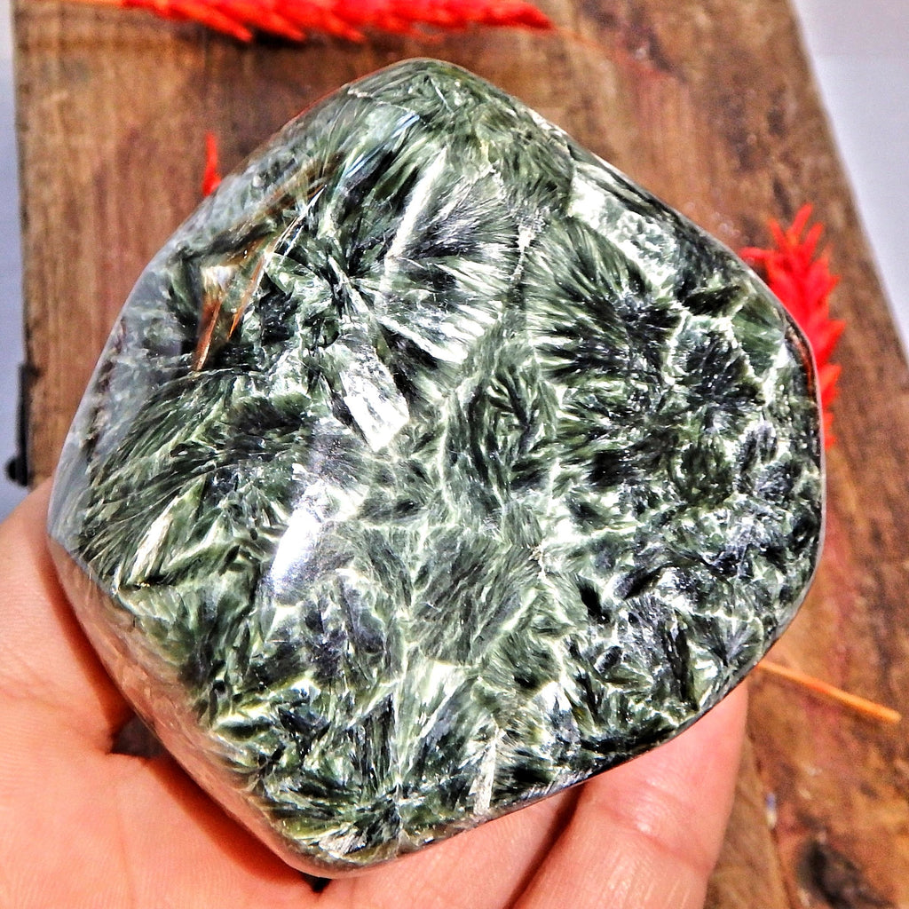 Incredible Large Silvery Angel Wings & Deep Forest Green Seraphinite Specimen - Earth Family Crystals