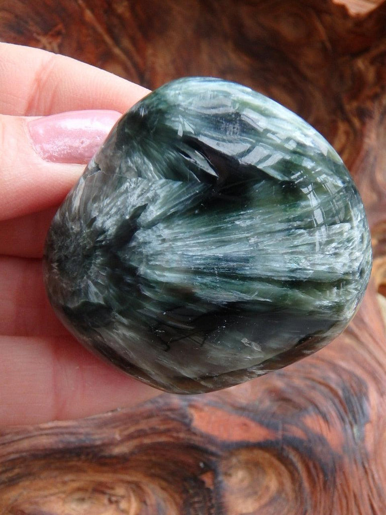 Feathery Silver Wings & Cave Seraphinite Specimen - Earth Family Crystals