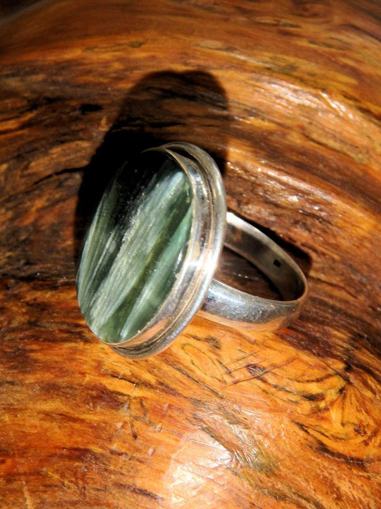 Shimmering Silver Feathers Seraphinite Ring in Sterling Silver (Size 10.5) - Earth Family Crystals