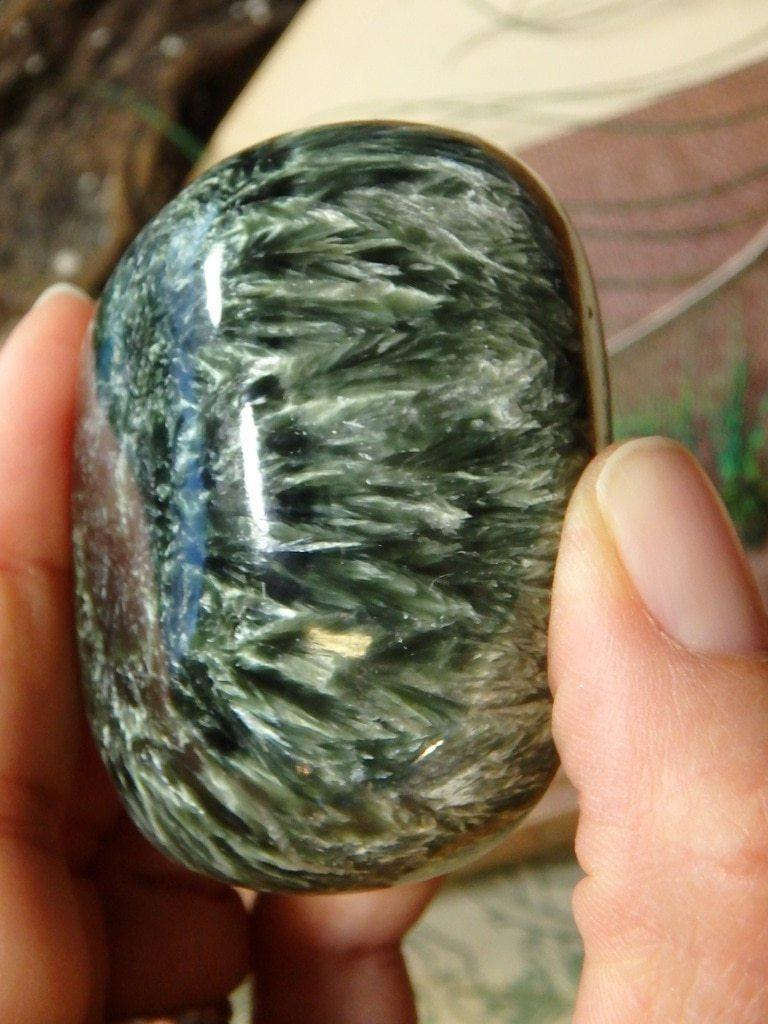 Angel Wings Seraphinite Specimen 1 - Earth Family Crystals