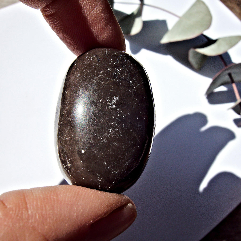 Rare Master Shamanite (Black Calcite) Polished Hand Held Specimen - Earth Family Crystals