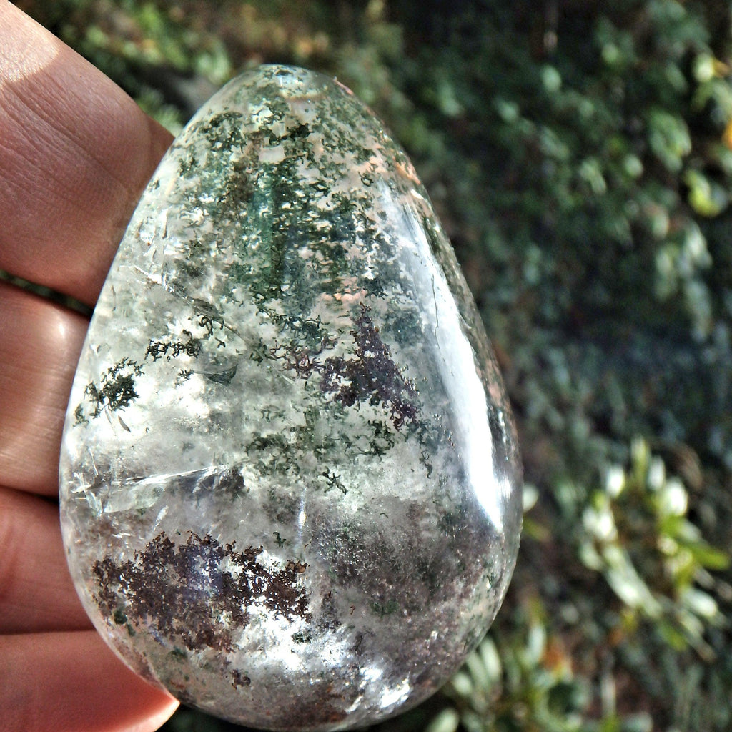 Incredible Inclusions Shamanic Dream Stone Seer Quartz Partially Polished From Brazil - Earth Family Crystals