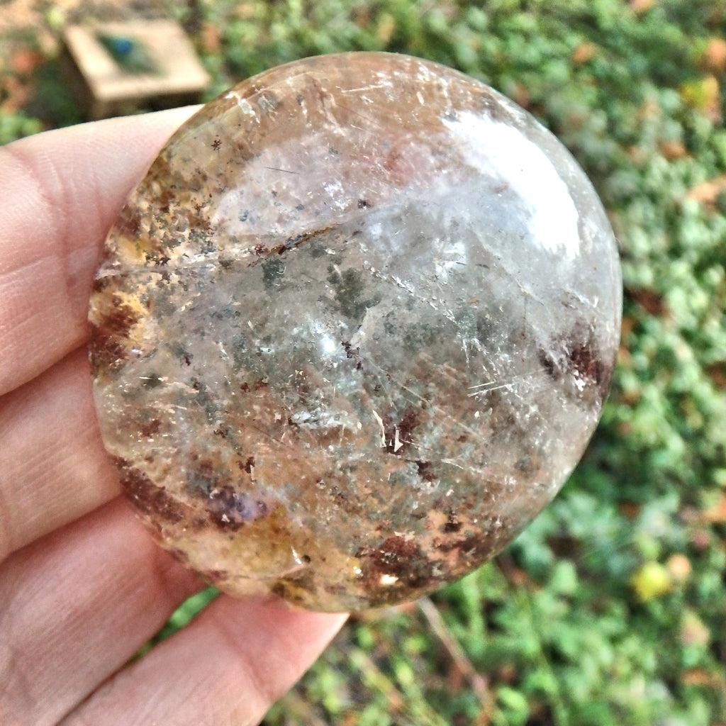 Needles of Rutile & Various Inclusions Shamanic Dream Stone Seer Quartz Partially Polished From Brazil - Earth Family Crystals