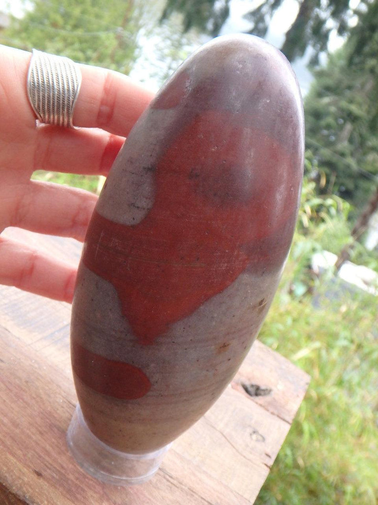 Fantastic Blood Red Patterns Sacred Shiva Lingam Specimen From India - Earth Family Crystals