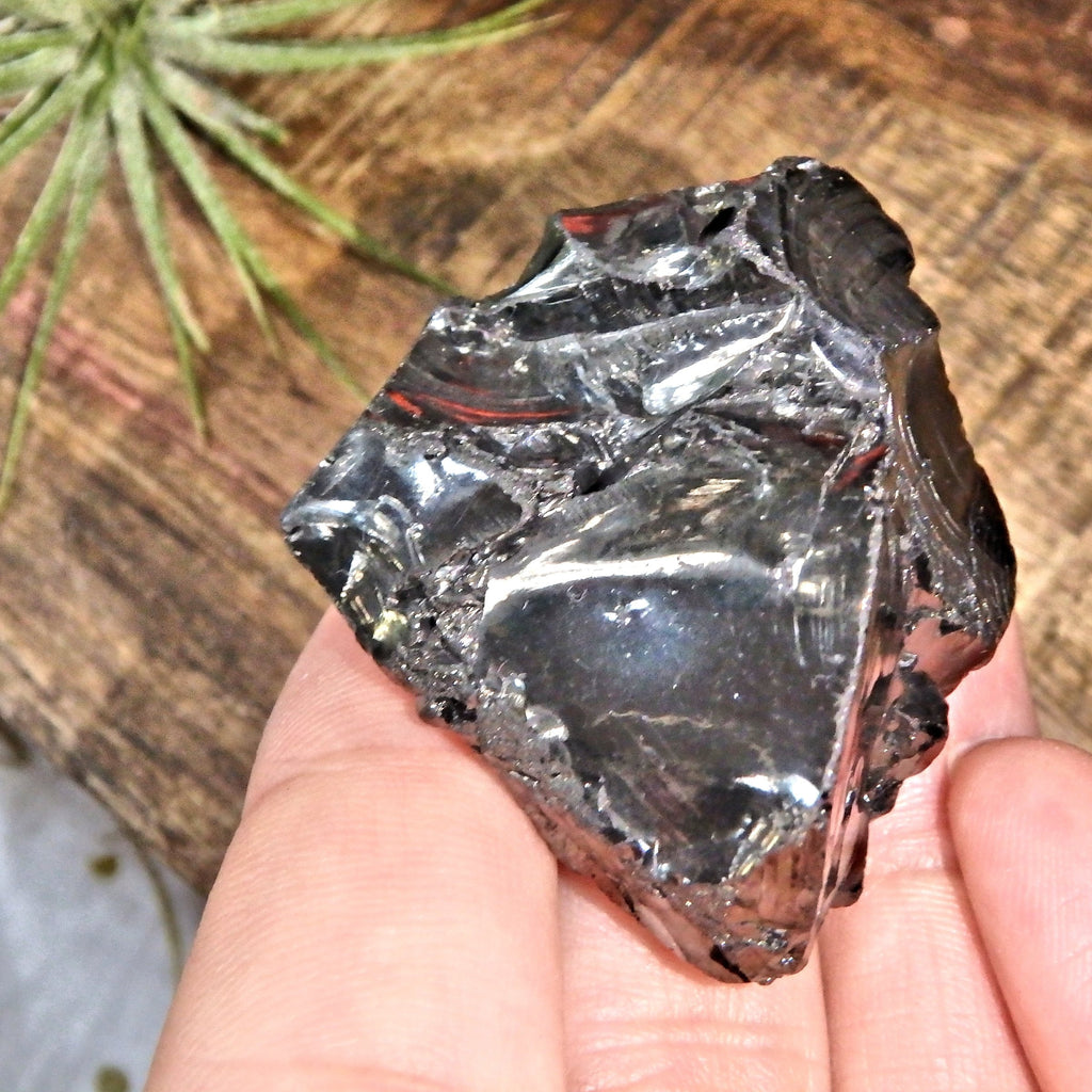 Chunky Handheld Elite (Noble) Shungite Natural Specimen From Russia 2 - Earth Family Crystals