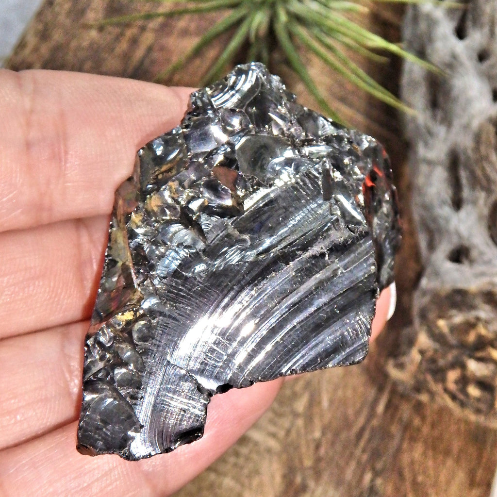 Chunky Handheld Elite (Noble) Shungite Natural Specimen From Russia 1 - Earth Family Crystals
