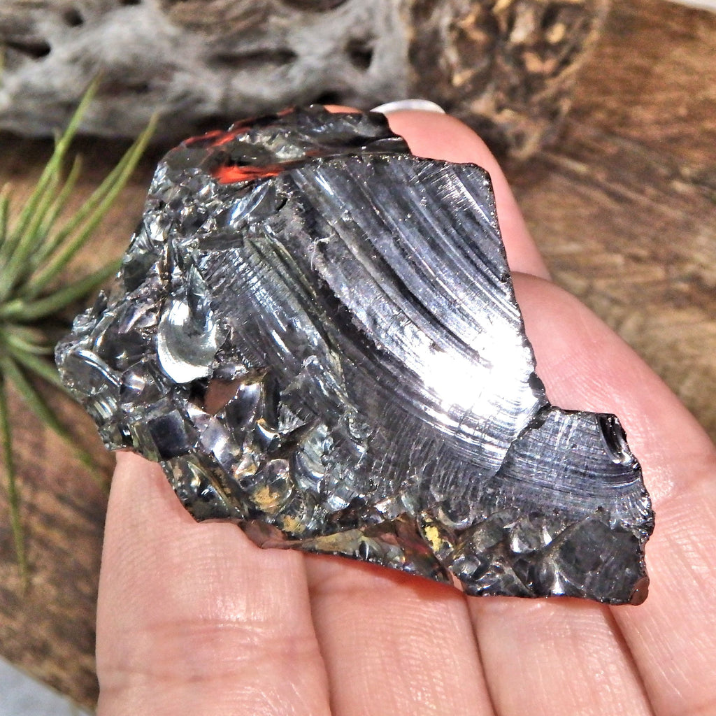 Chunky Handheld Elite (Noble) Shungite Natural Specimen From Russia 1 - Earth Family Crystals