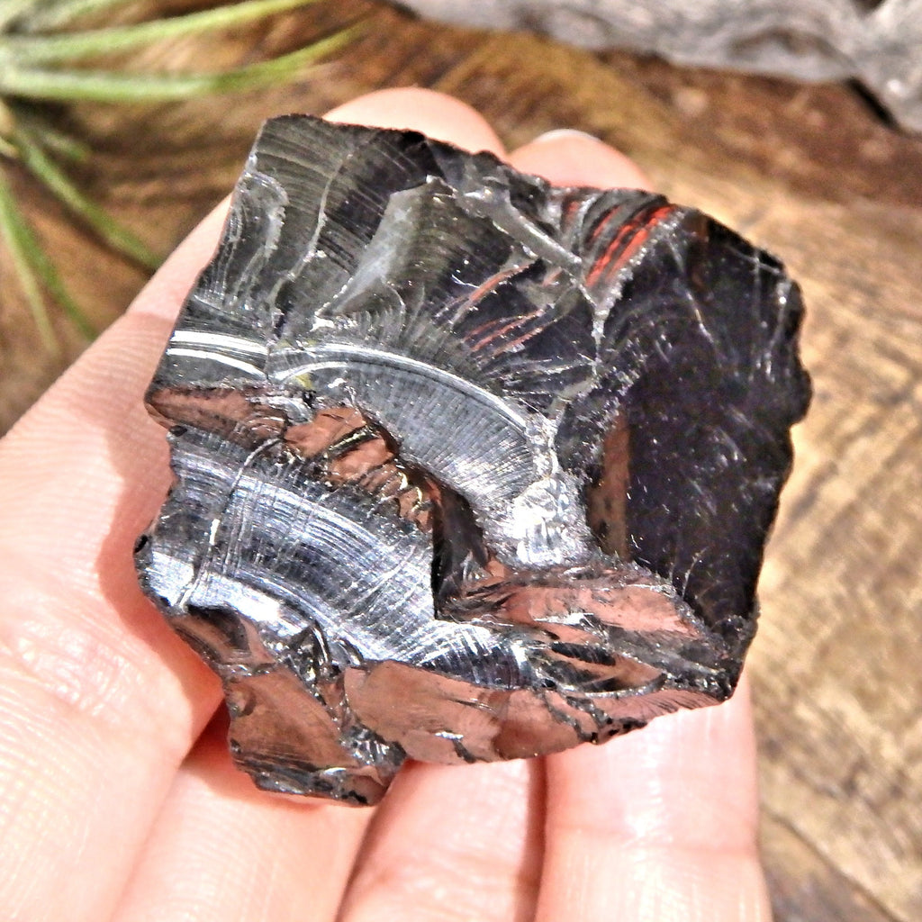 Chunky Handheld Elite (Noble) Shungite Natural Specimen From Russia 2 - Earth Family Crystals