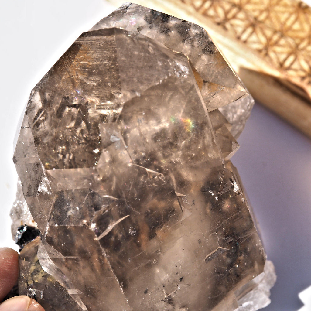 Incredible Natural Smoky Elestial With Black Rutilated Hematite Inclusions From Brazil - Earth Family Crystals