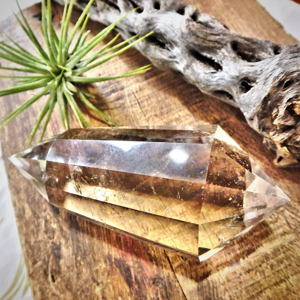 Extreme Brilliance & Clarity Smoky Quartz Vogel Carving From Brazil - Earth Family Crystals