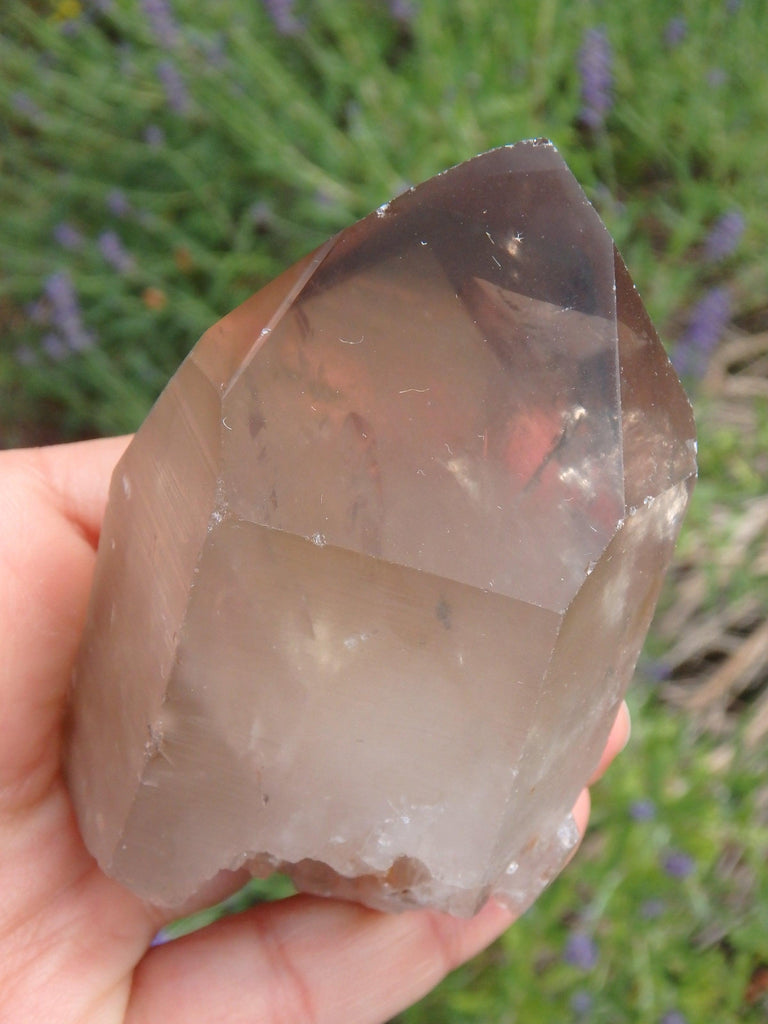 Incredible Elestial Smoky Quartz Point From Brazil 1 - Earth Family Crystals