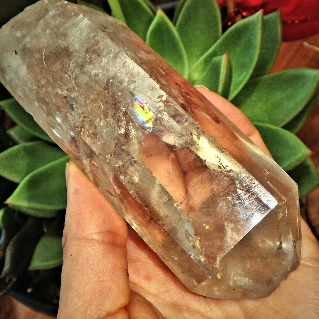 Fantastic Rainbows Optical Smoky Quartz Large Point From Brazil - Earth Family Crystals