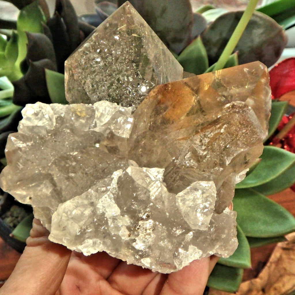 Incredible Rutilated Smoky Quartz Self Healed Elestial Large Cluster From Brazil - Earth Family Crystals
