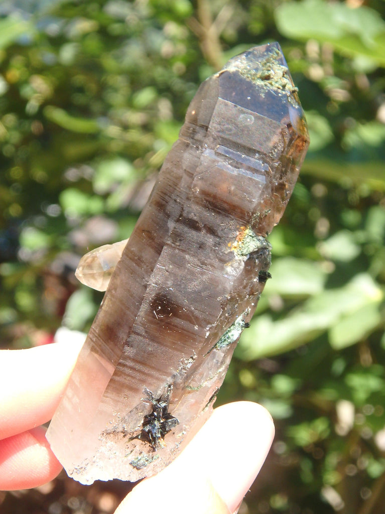 Elestial Smoky Quartz Point With Aegirine Inclusions From South Africa - Earth Family Crystals