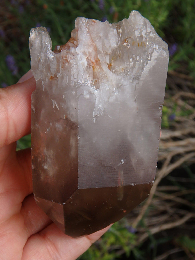 Incredible Elestial Smoky Quartz Point From Brazil 1 - Earth Family Crystals