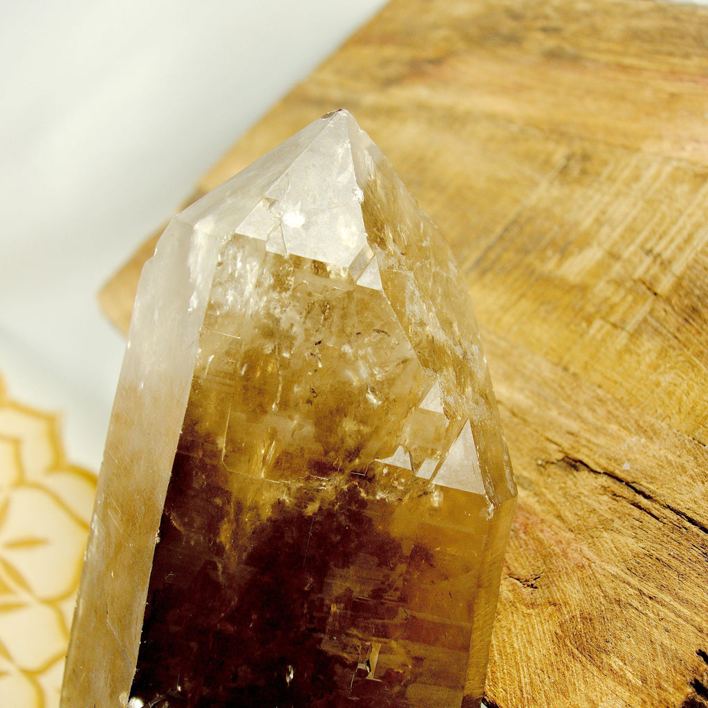 Natural XXL Long Smoky Quartz Point With Self Healing & Record Keepers From Brazil - Earth Family Crystals