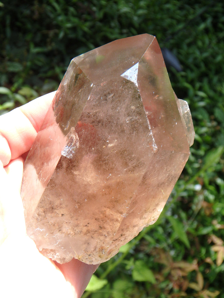 Intricate Multi Point Smoky Quartz Cluster With Golden Rutile Threads - Earth Family Crystals