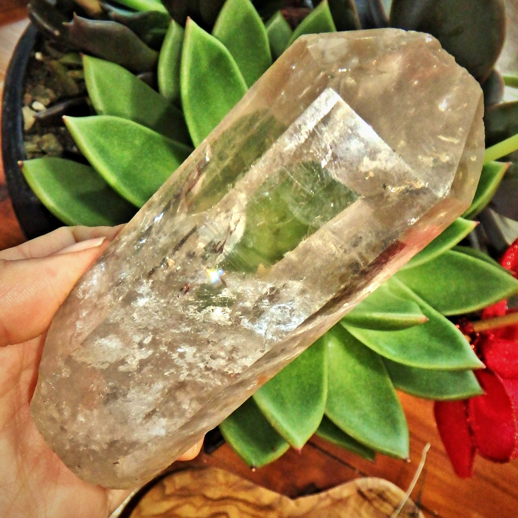 Fantastic Rainbows Optical Smoky Quartz Large Point From Brazil - Earth Family Crystals