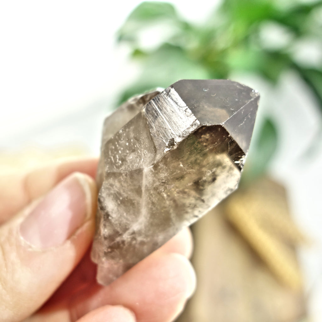 Natural Smoky Quartz Point~ Perfect Pocket Stone - Earth Family Crystals