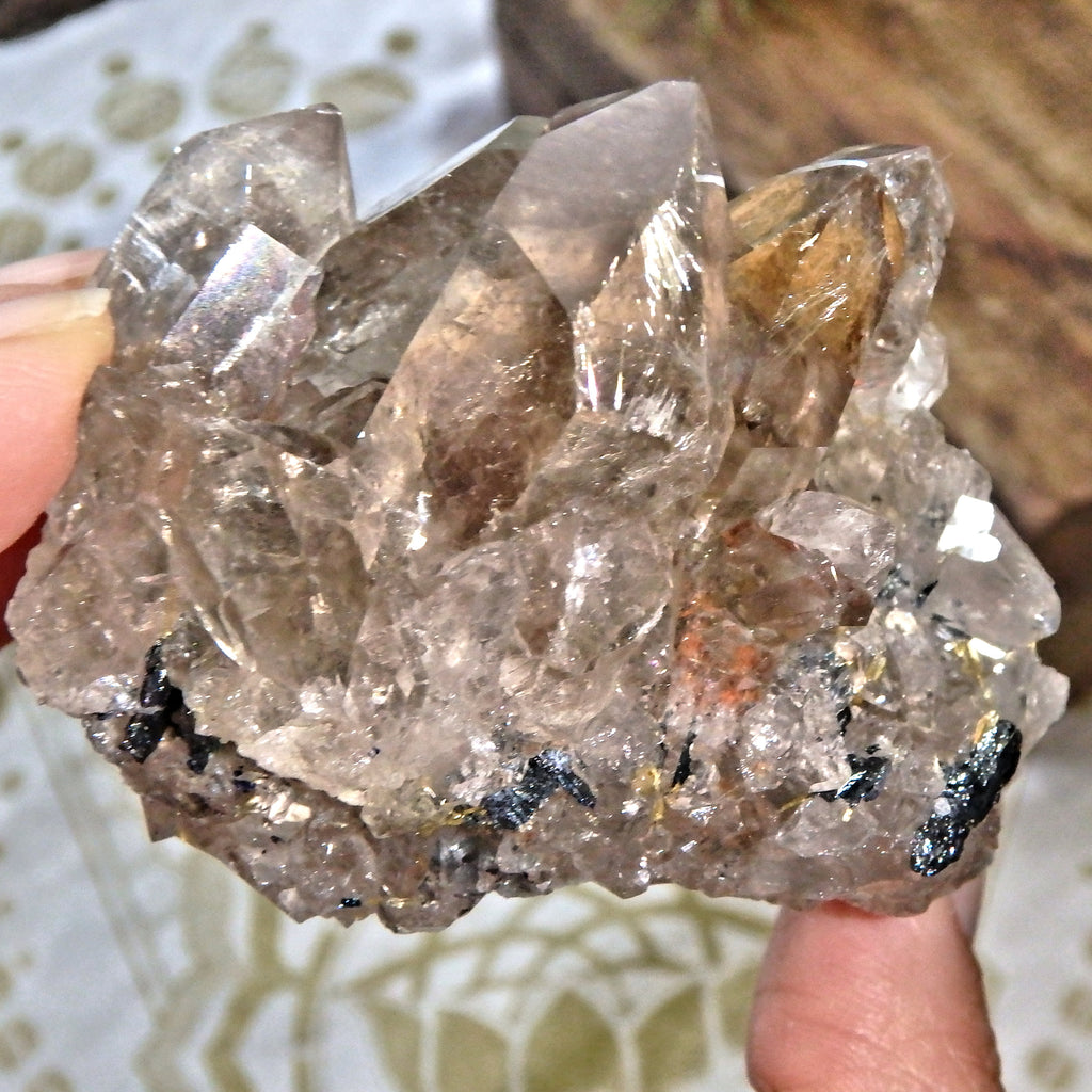 Gorgeous Golden Rutile and Black Hematite Included Smoky Quartz Cluster From Brazil - Earth Family Crystals