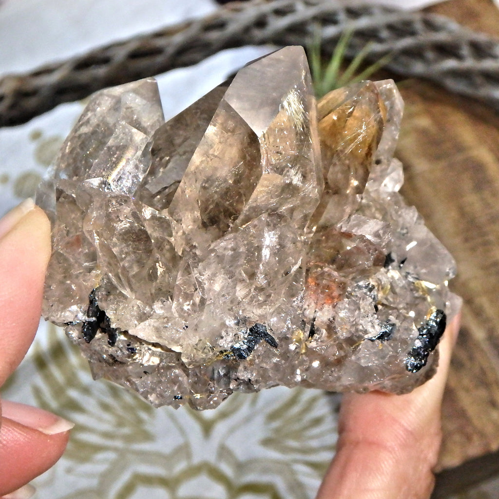 Gorgeous Golden Rutile and Black Hematite Included Smoky Quartz Cluster From Brazil - Earth Family Crystals