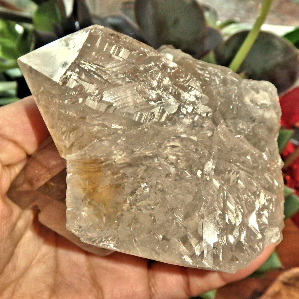 Incredible Rutilated Smoky Quartz Self Healed Elestial Large Cluster From Brazil - Earth Family Crystals