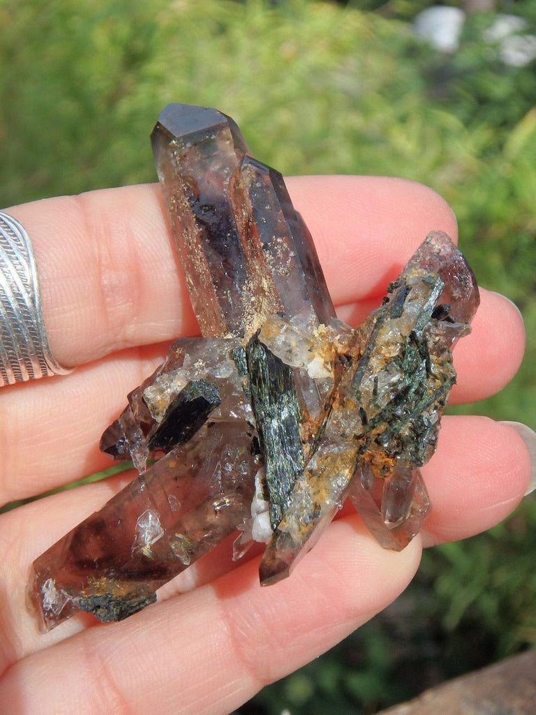 Gorgeous DT Smoky Quartz Cluster With Epidote Inclusions - Earth Family Crystals