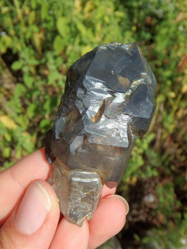 Elestial Sceptre Smoky Quartz Specimen - Earth Family Crystals