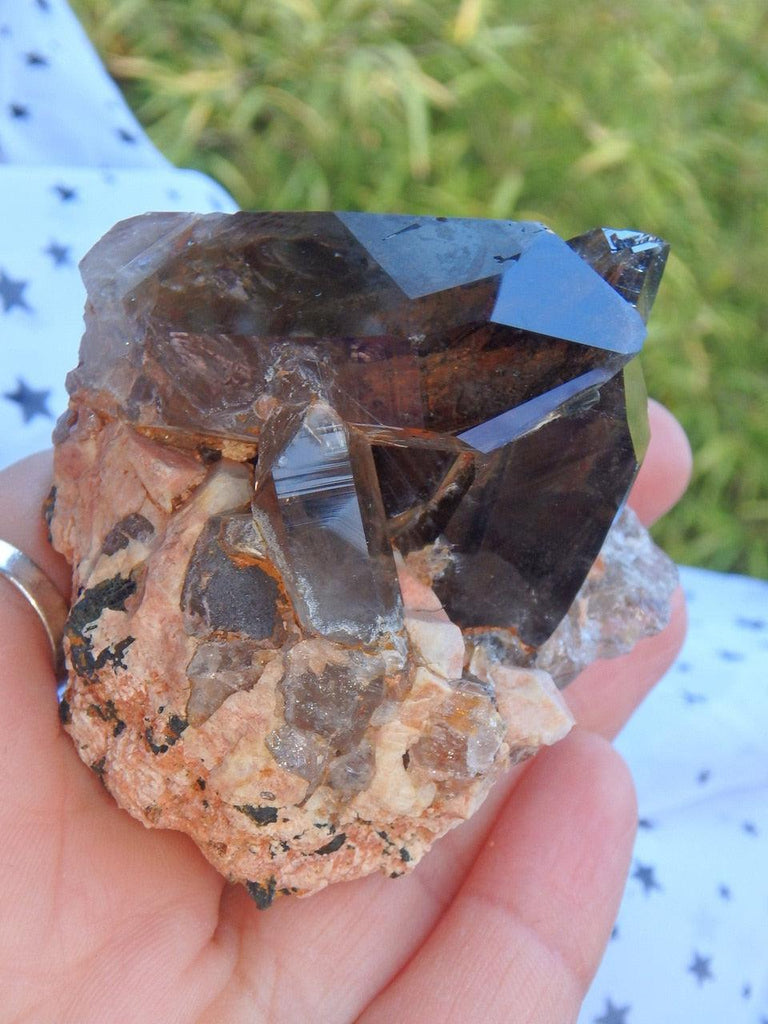 Extreme Brilliance Chocolate Brown Rutilated Smoky Quartz Cluster From Malawi - Earth Family Crystals