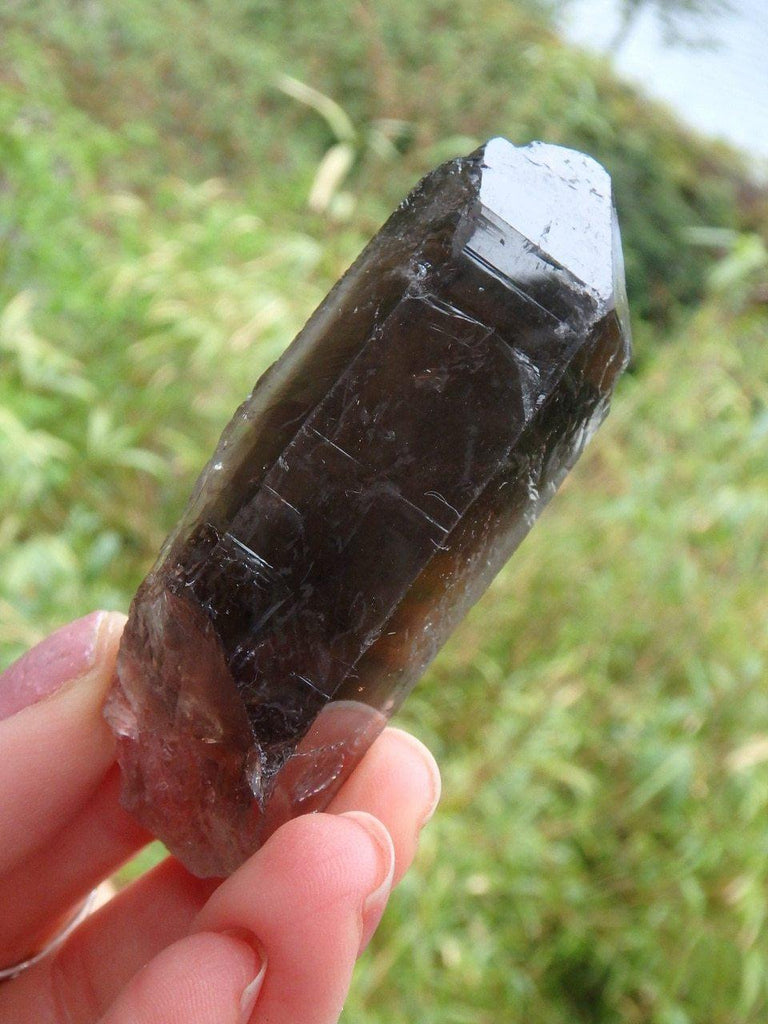 Deep Chocolate Brown Smoky Quartz Point From Brazil 2 - Earth Family Crystals