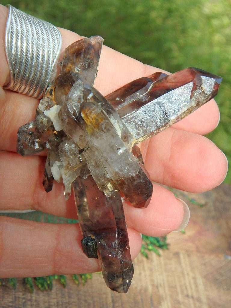 Gorgeous DT Smoky Quartz Cluster With Epidote Inclusions - Earth Family Crystals