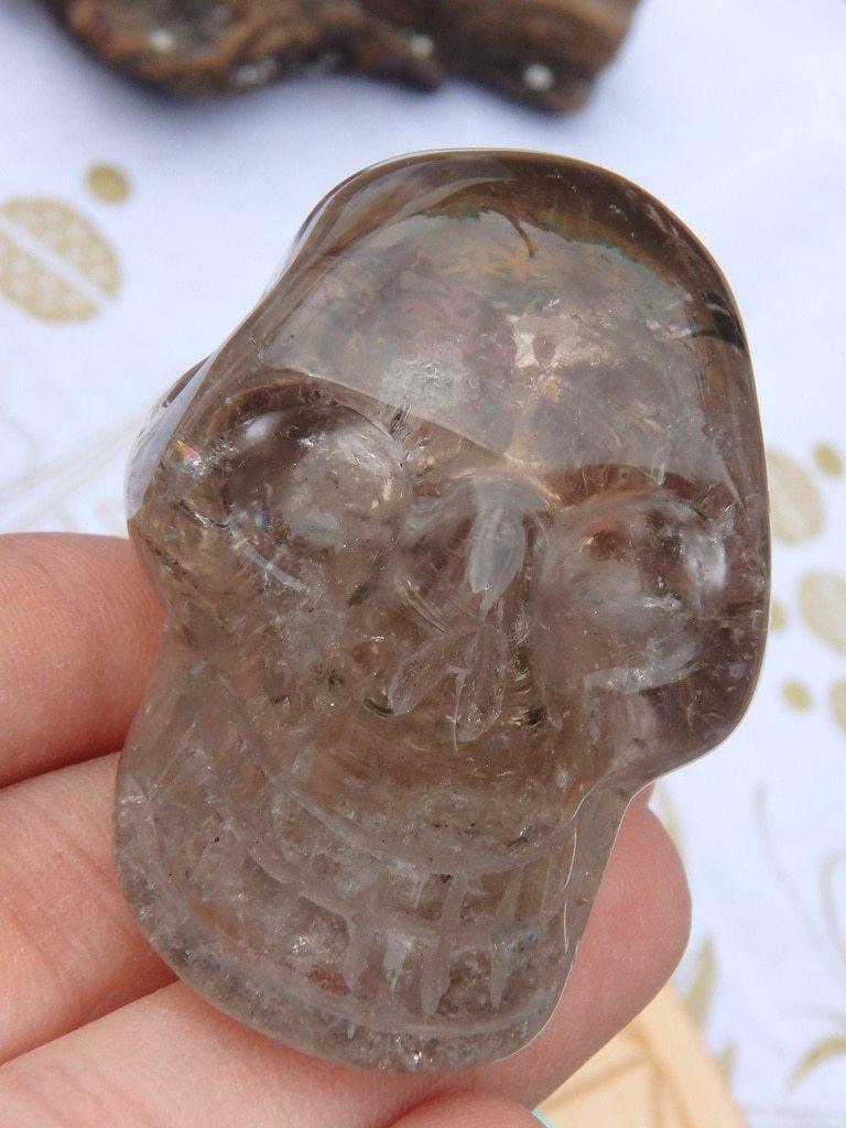 Brilliant Smoky Quartz Gemstone Skull - Earth Family Crystals