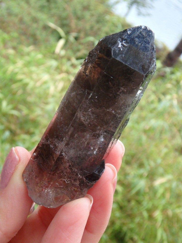 Deep Chocolate Brown Smoky Quartz Point From Brazil 2 - Earth Family Crystals