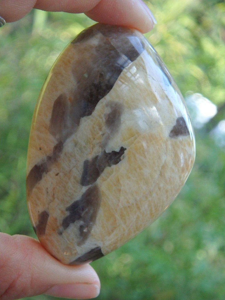 Creamy Yellow Moonstone & Smoky Quartz Hand Held Specimen - Earth Family Crystals