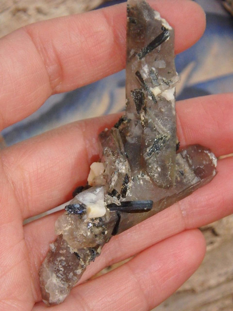 Gorgeous Intertwined DT Smoky Quartz Aegirine & Feldspar Specimen - Earth Family Crystals