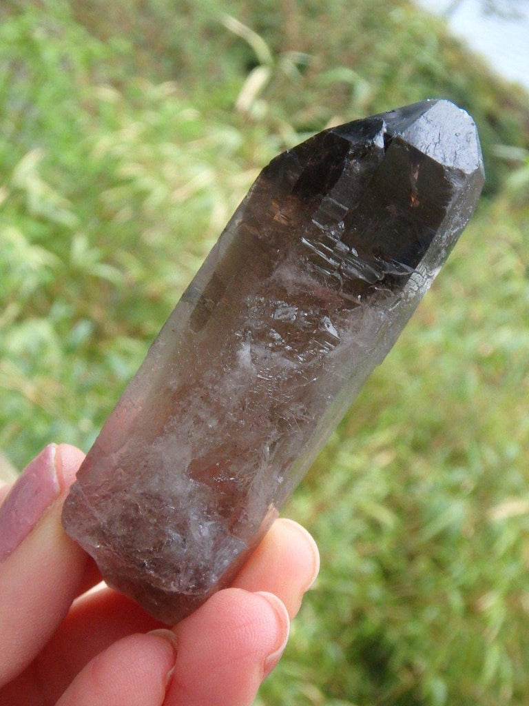 Deep Chocolate Brown Smoky Quartz Point From Brazil 1 - Earth Family Crystals