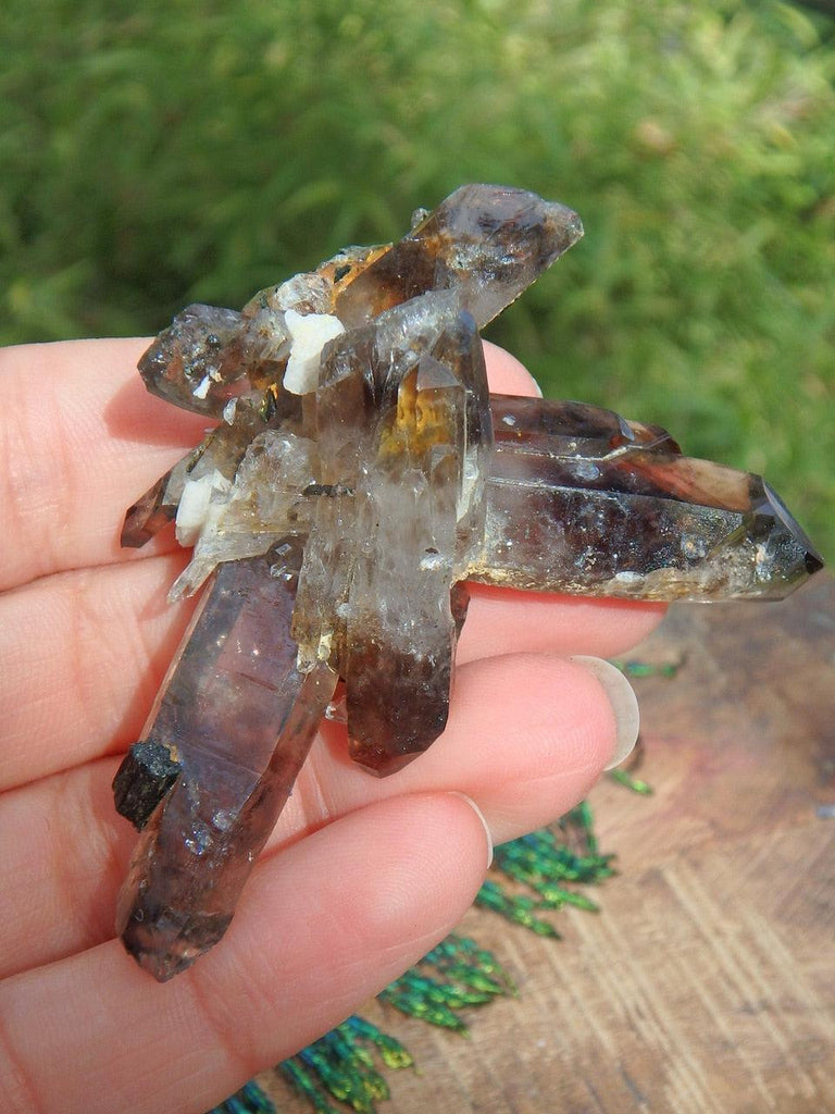 Gorgeous DT Smoky Quartz Cluster With Epidote Inclusions - Earth Family Crystals