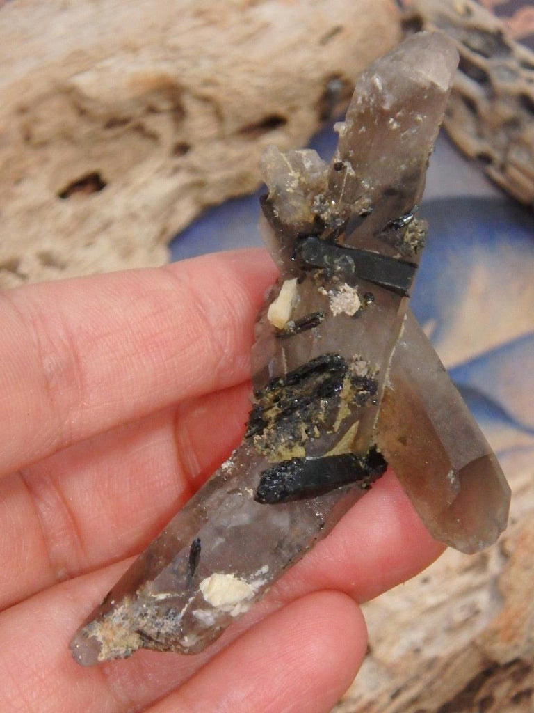 Gorgeous Intertwined DT Smoky Quartz Aegirine & Feldspar Specimen - Earth Family Crystals