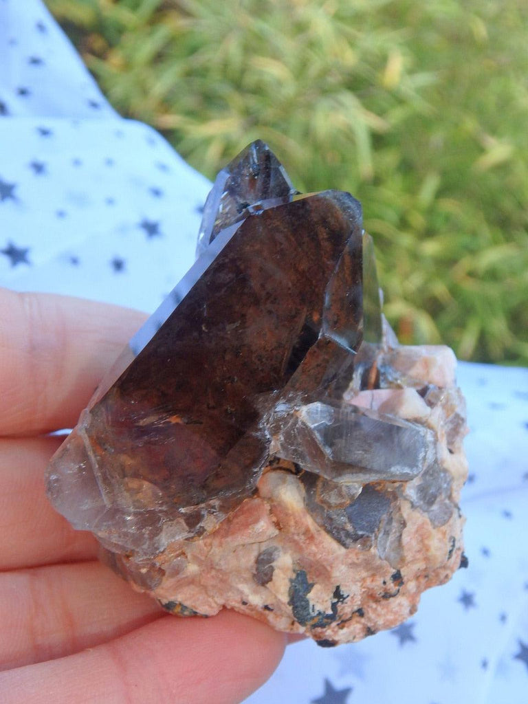 Extreme Brilliance Chocolate Brown Rutilated Smoky Quartz Cluster From Malawi - Earth Family Crystals