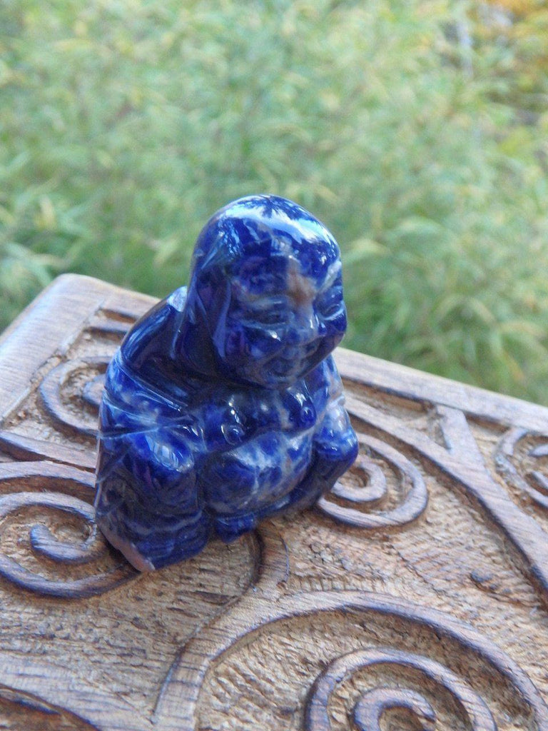 Dark Blue Sodalite Small Buddha Carving - Earth Family Crystals