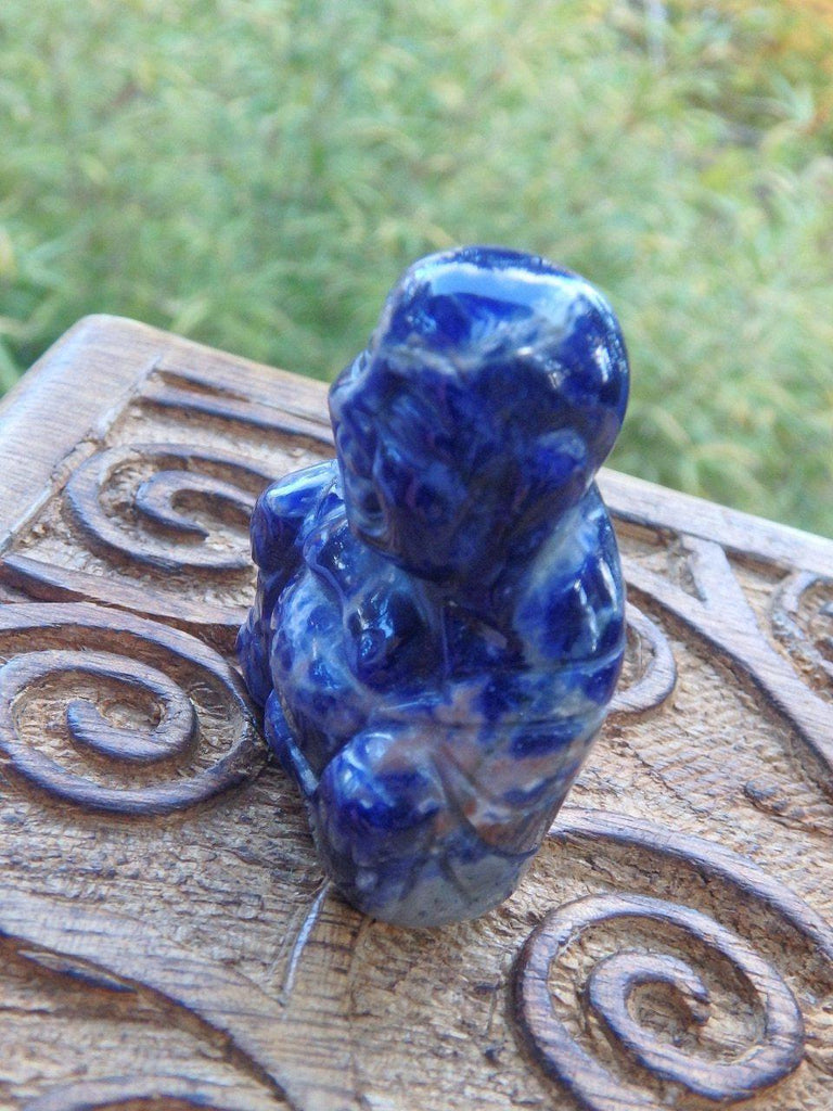 Dark Blue Sodalite Small Buddha Carving - Earth Family Crystals