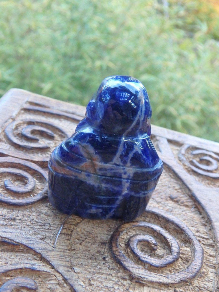 Dark Blue Sodalite Small Buddha Carving - Earth Family Crystals