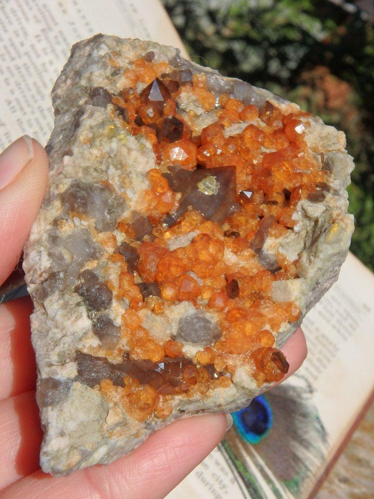 Brilliant Orange Spessartine Garnet & Smoky Quartz Points Cluster Specimen - Earth Family Crystals