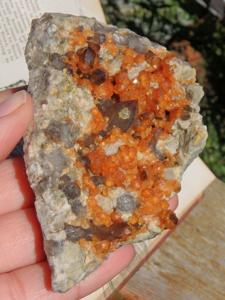 Brilliant Orange Spessartine Garnet & Smoky Quartz Points Cluster Specimen - Earth Family Crystals