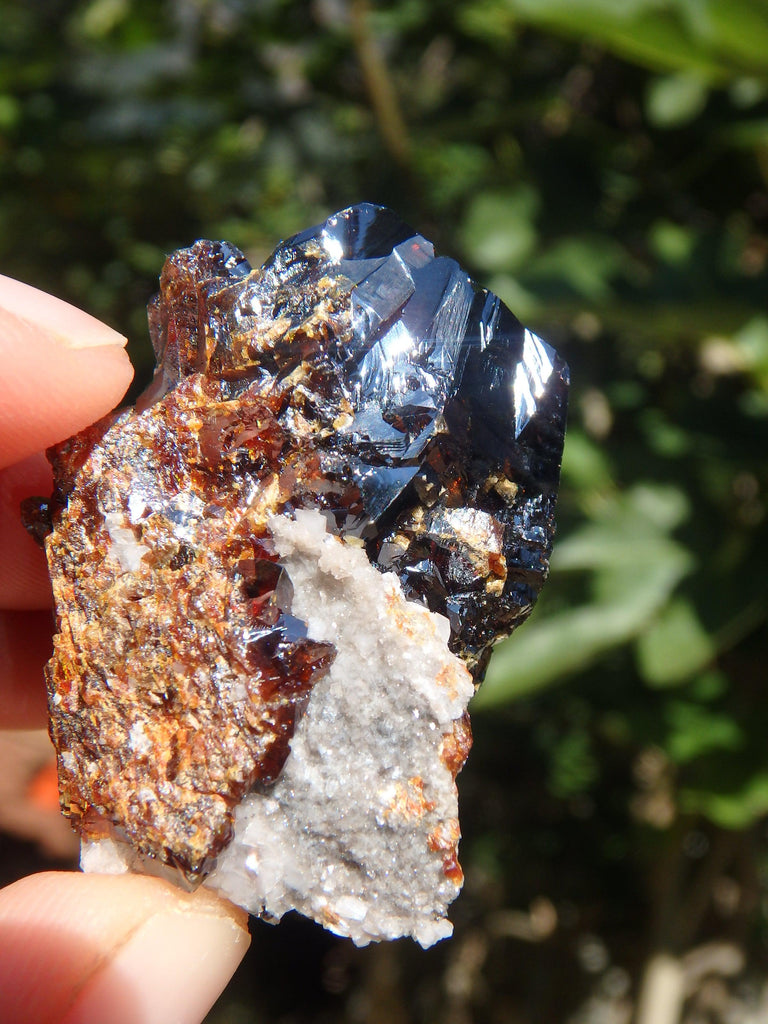 Shiny Deep Burgundy Sphalerite Specimen From Elmwood Mine - Earth Family Crystals