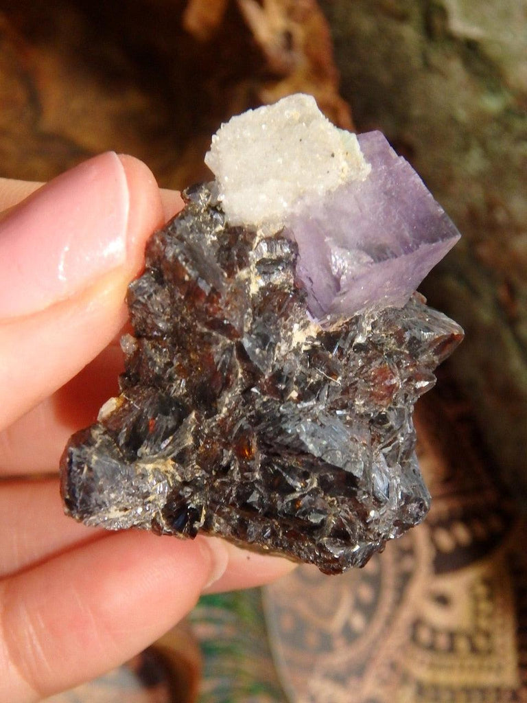 Elmwood Mine Burgundy Sphalerite & Cubic Purple Fluorite Specimen With Quartz Druzy From Tennessee - Earth Family Crystals