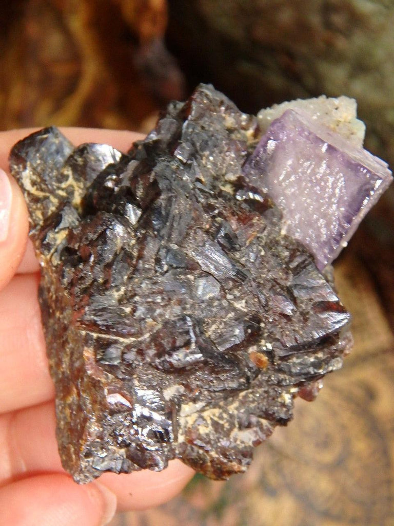 Elmwood Mine Burgundy Sphalerite & Cubic Purple Fluorite Specimen With Quartz Druzy From Tennessee - Earth Family Crystals