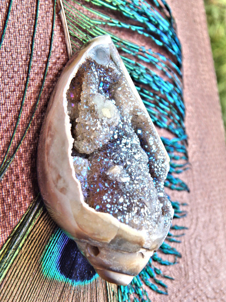 Fabulous Sparkles Aura Infused Spiralite Gemshell From India - Earth Family Crystals