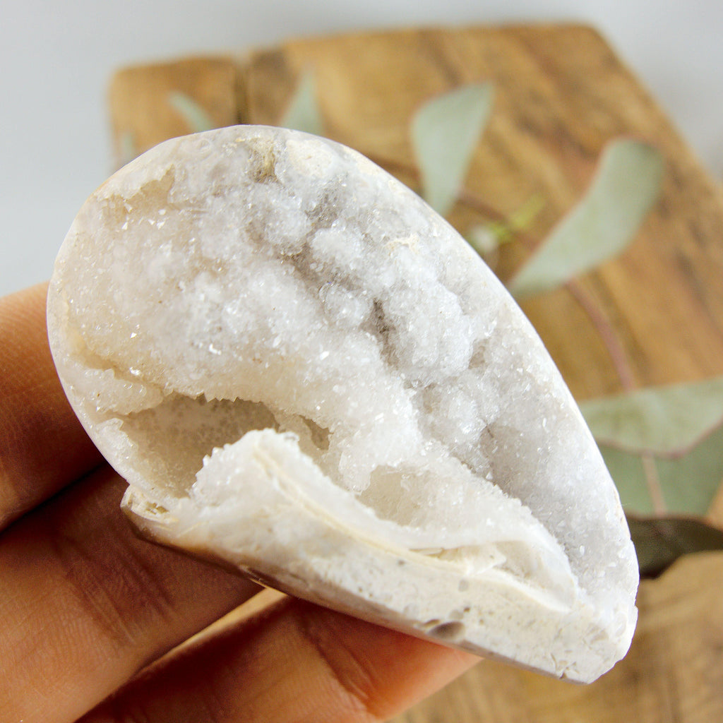 Incredible Shimmering Creamy White Large Druzy Spiralite Gemshell Geode Specimen From India8 - Earth Family Crystals