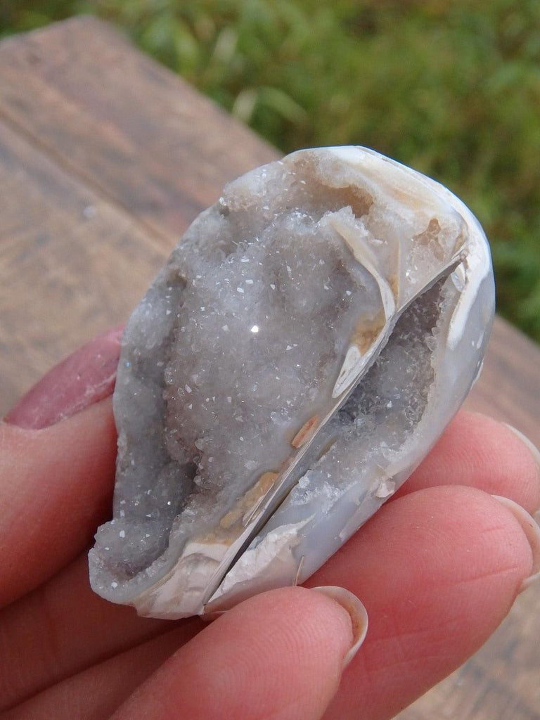 Fabulous Double Layers of White Druzy Quartz Filled Spiralite Gemshell From India - Earth Family Crystals